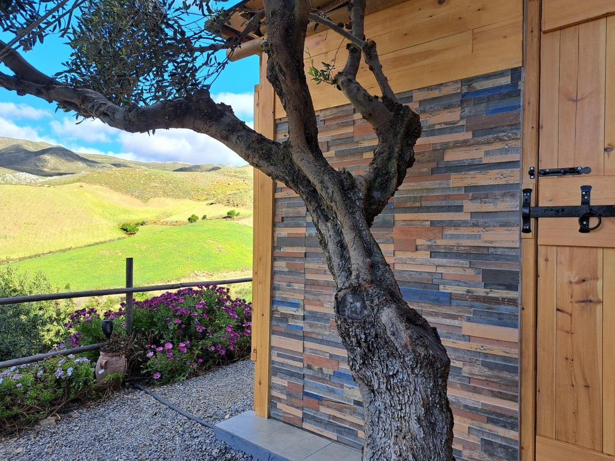 Paránimfoi Wooden House At The Mountain-Private 게스트하우스 외부 사진